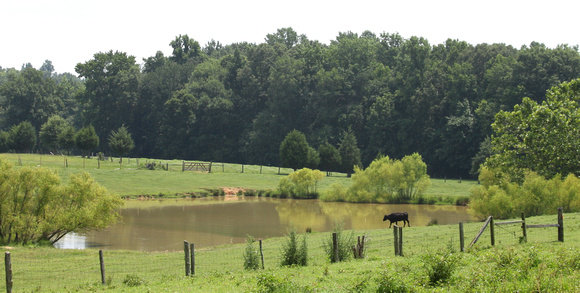 02MB JRR Ranch Water Hole VA 130717-A