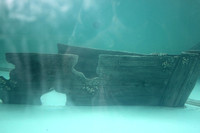 06VU - Under-Water Shipwrecks