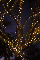 08Q  - Lighted-Up & Decorated Trees