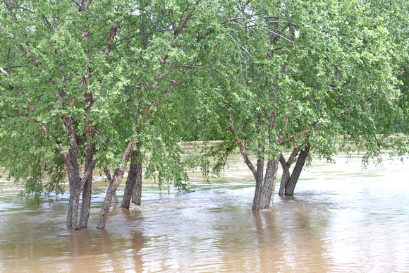 06RR JRR Flood Levels VA 140516-H