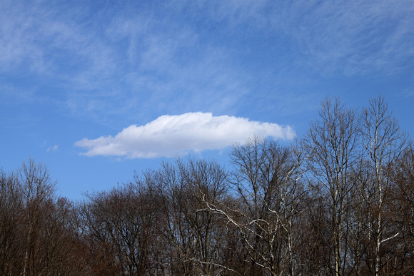 04N JRR Cloud & Trees VA 140315