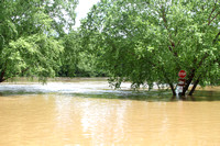 06RRRF - Rappahannock River VA Flood Stage