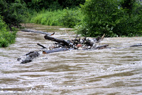 06RRAF - Aquia Creek VA Flood Levels