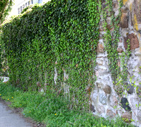 03BF - Fences, retaining Walls, Hedgerows & Rocks