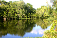 06RPF - Fredericksburg VA Pond